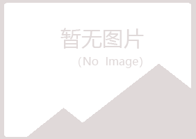 五大连池埋没会计有限公司